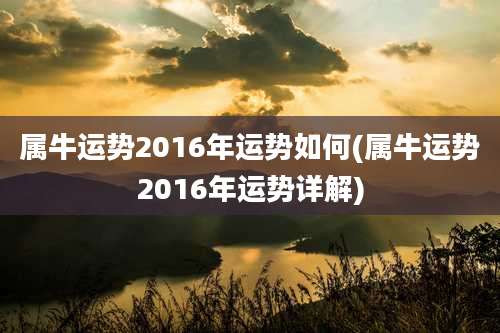 属牛运势2016年运势如何(属牛运势2016年运势详解)