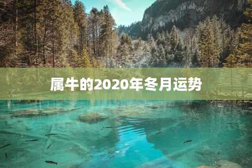 属牛的2020年冬月运势
