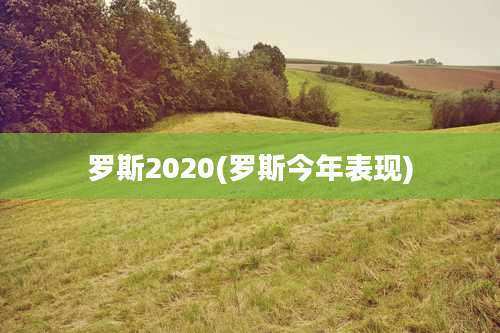 罗斯2020(罗斯今年表现)