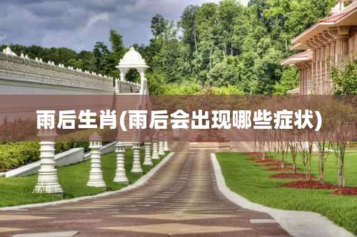 雨后生肖(雨后会出现哪些症状)