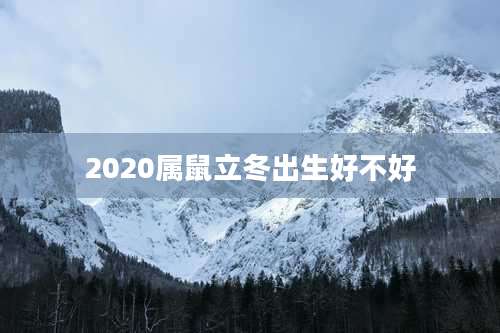 2020属鼠立冬出生好不好
