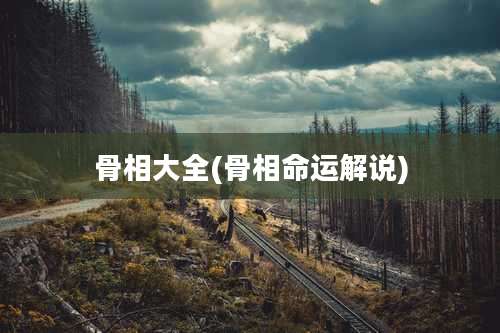 骨相大全(骨相命运解说)