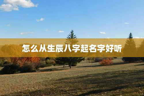 怎么从生辰八字起名字好听