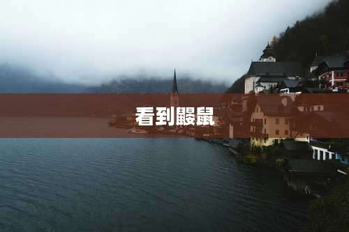 看到鼹鼠