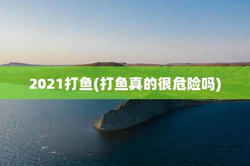 2021打鱼(打鱼真的很危险吗)
