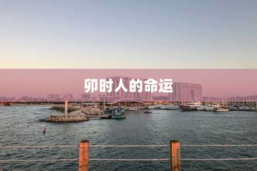 卯时人的命运