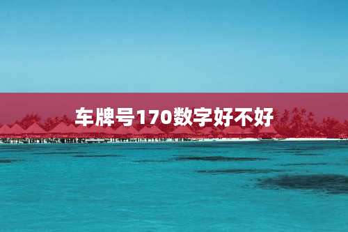 车牌号170数字好不好