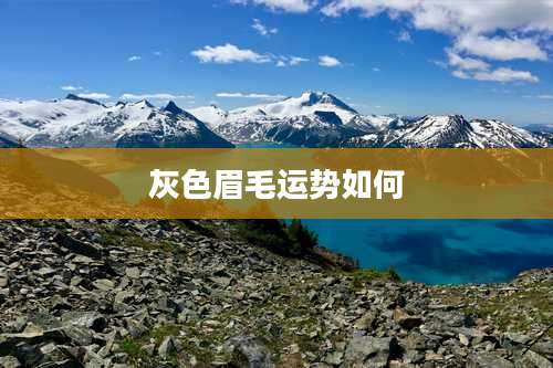 灰色眉毛运势如何