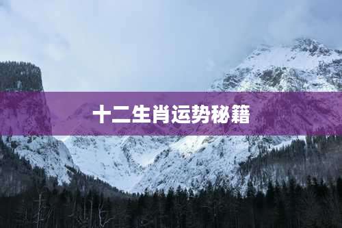 十二生肖运势秘籍