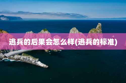 逃兵的后果会怎么样(逃兵的标准)