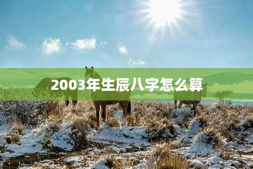 2003年生辰八字怎么算