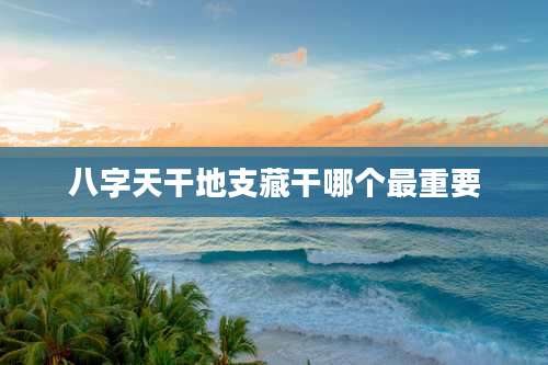 八字天干地支藏干哪个最重要