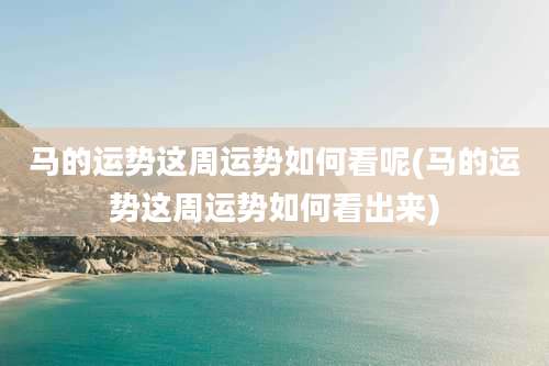 马的运势这周运势如何看呢(马的运势这周运势如何看出来)