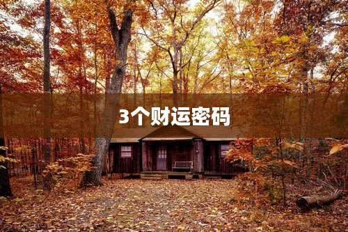 3个财运密码