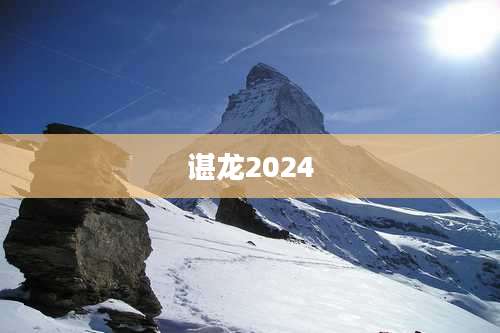 谌龙2024