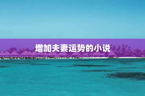 增加夫妻运势的小说