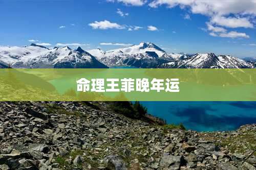 命理王菲晚年运