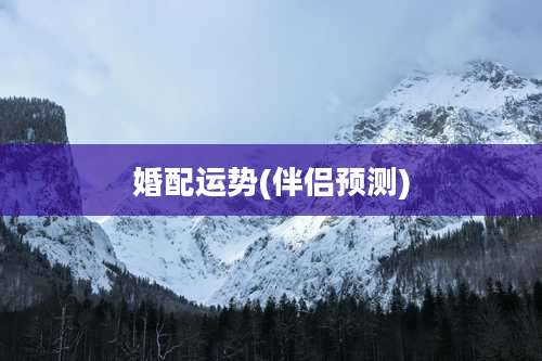 婚配运势(伴侣预测)