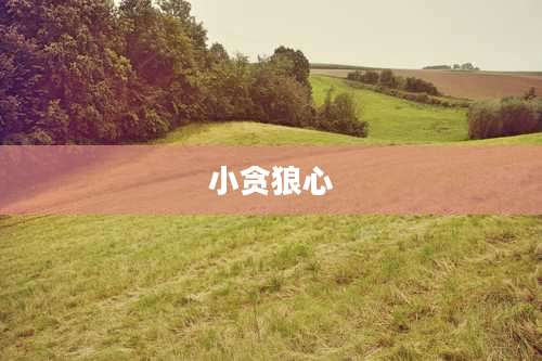 小贪狼心