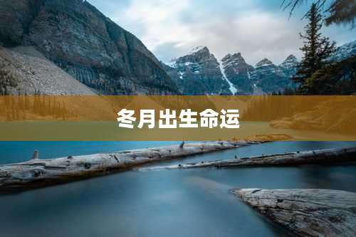 冬月出生命运