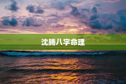 沈腾八字命理