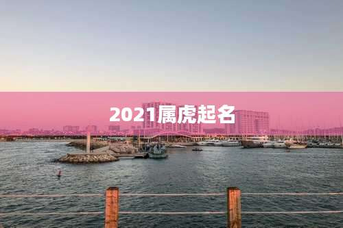 2021属虎起名