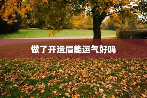 做了开运眉能运气好吗