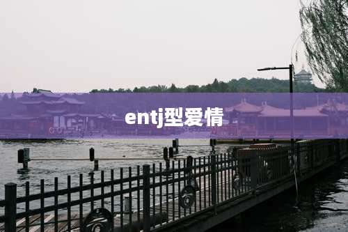 entj型爱情