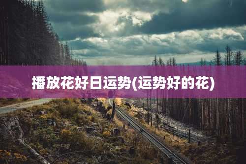 播放花好日运势(运势好的花)