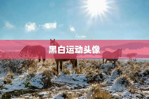 黑白运动头像