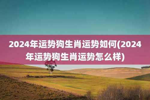 2024年运势狗生肖运势如何(2024年运势狗生肖运势怎么样)