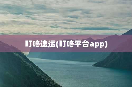 叮咚速运(叮咚平台app)