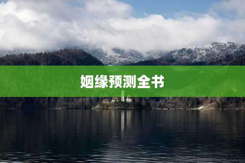 姻缘预测全书