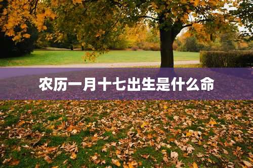 农历一月十七出生是什么命