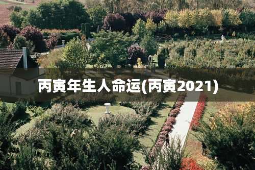 丙寅年生人命运(丙寅2021)