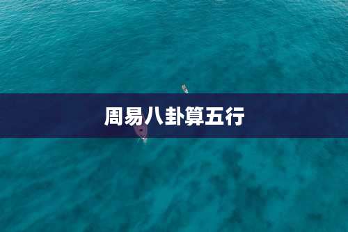 周易八卦算五行