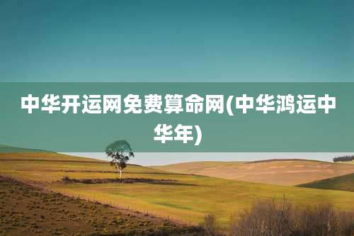 中华开运网免费算命网(中华鸿运中华年)