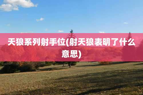 天狼系列射手位(射天狼表明了什么意思)