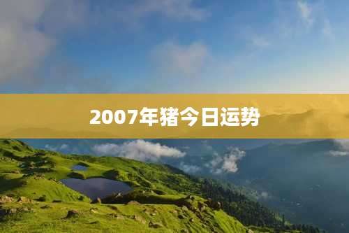 2007年猪今日运势