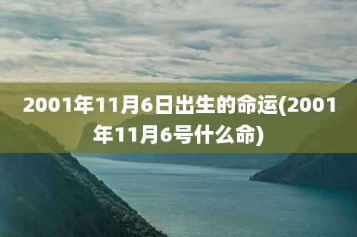 2001年11月6日出生的命运(2001年11月6号什么命)