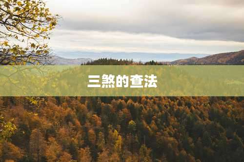 三煞的查法