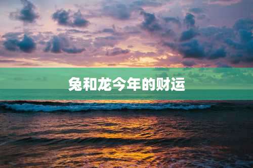 兔和龙今年的财运