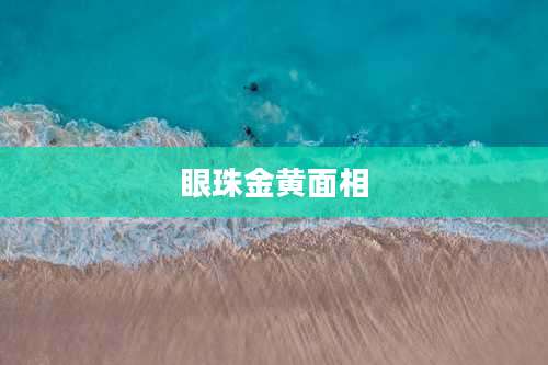 眼珠金黄面相