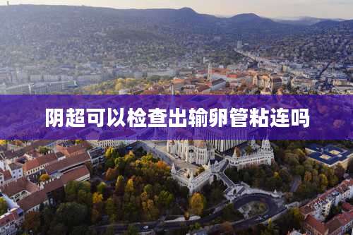 阴超可以检查出输卵管粘连吗