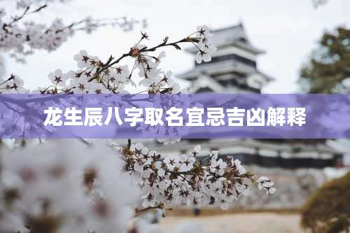 龙生辰八字取名宜忌吉凶解释