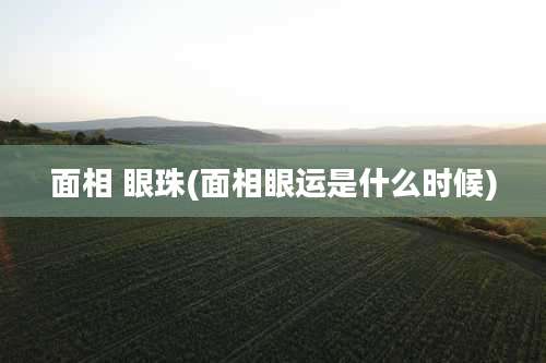 面相 眼珠(面相眼运是什么时候)