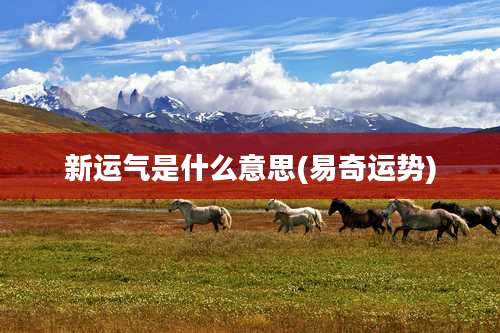 新运气是什么意思(易奇运势)
