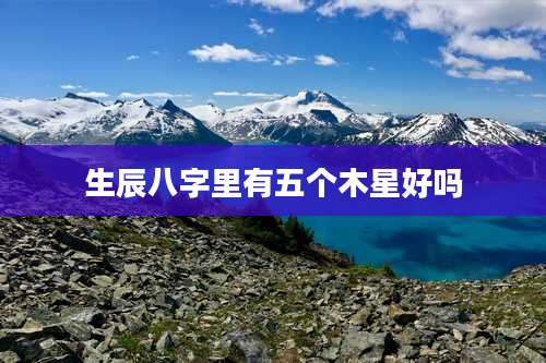 生辰八字里有五个木星好吗