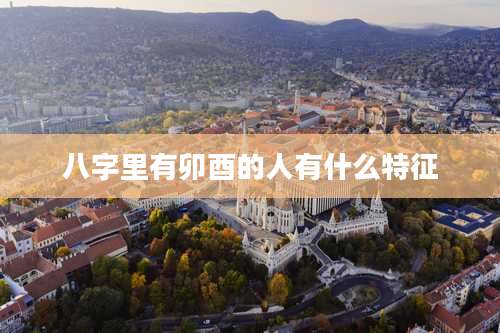 八字里有卯酉的人有什么特征