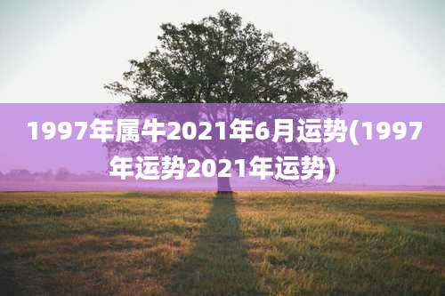 1997年属牛2021年6月运势(1997年运势2021年运势)